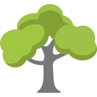 Arroyo Grande Tree Removal